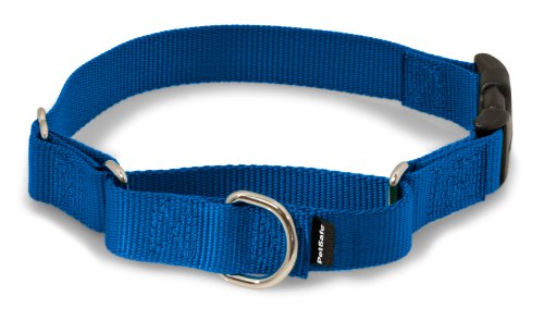 PetSafe Martingale Collar with Quick Snap Buckle, 1' Large, Royal Blue