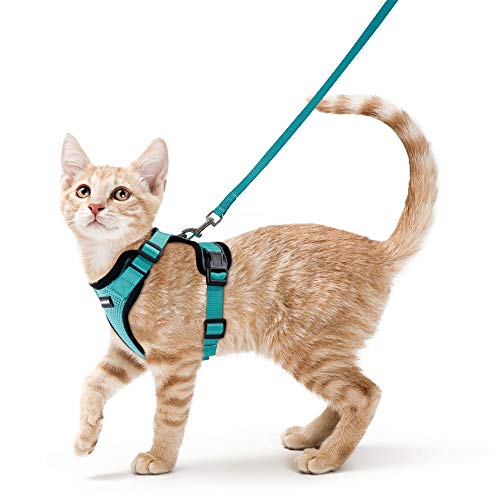 rabbitgoo Cat Harness and Leash for Walking, Escape Proof Soft Adjustable Vest Harnesses for Cats, Easy Control Breathable Reflective Strips Jacket, Emerald, XS (Chest: Chest: 13.5'-16')