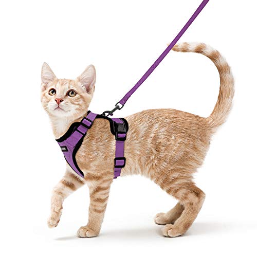 rabbitgoo Cat Harness and Leash for Walking, Escape Proof Soft Adjustable Vest Harnesses for Cats, Easy Control Breathable Reflective Strips Jacket, Purple, XS(Chest: 13.5'-16')