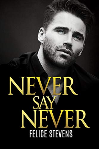 Never Say Never (Lost in New York Book 3)
