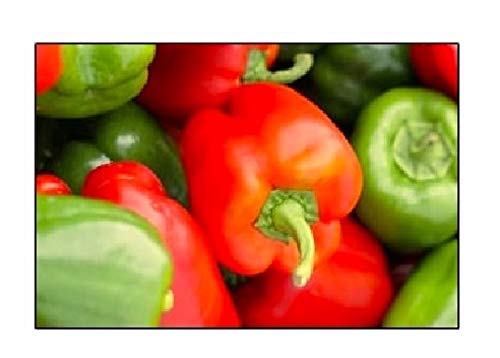 100 California Wonder Bell Pepper Seeds | Non-GMO | Fresh Garden Seeds