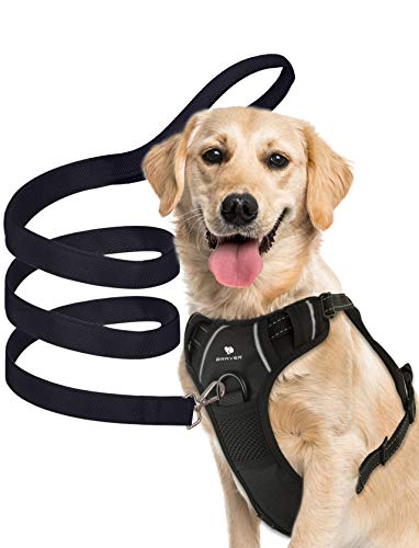 Braver Dog Harness+a Leash Set, 44-79 Pound, No-Pull with 2 Leash Clips,Adjustable Soft Padded Dog Vest,Reflective No-Choke Pet Oxford Vest with Easy Control Handle for Medium Dogs(L, Black)