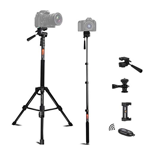 Tripod for Camera and Phone Monopod with Remote Action Camera Mount Adapter Small Flexible Travel Selfie Stick Tripod Stand Aluminum for DSLR Projector Camcorder, Smart Phone by BESNFOTO