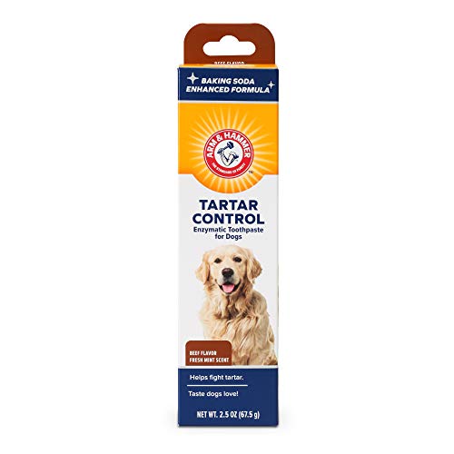 Arm & Hammer Dog Dental Care Tartar Control Enzymatic Toothpaste for Dogs | Reduces Plaque & Tartar Buildup | Safe for Puppies, 2.5 oz, Beef Flavor