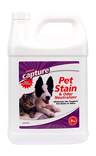 Capture Pet Stain Odor Neutralizer - Professional Pets Vomit Cleaner for Dog and Cats Urine, Pee, Drool. No Cat or Dogs Smell, Remove Stains