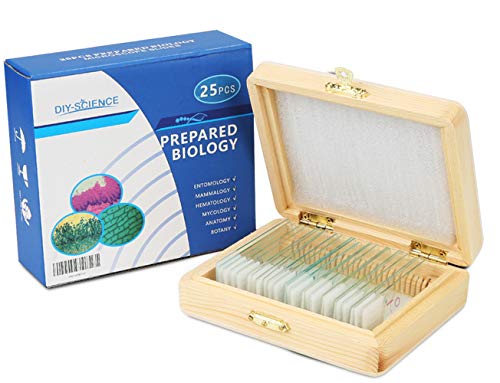 Prepared Microscope Slides Set for Students Basic Biological Science Education, 25pcs Animal Plant Insect Bacteria Specimens, Containing Wooden Storage Boxes