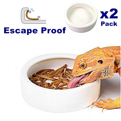Reptile Food Water Bowl - 2 Pcs Worm Dish Small (2.75in) Lizard Gecko Ceramic Pet Bowls, Mealworms Bowl for Bearded Dragon Chameleon Hermit Crab Dubia Reptile Cricket Anti-Escape Mini Reptile Feeder