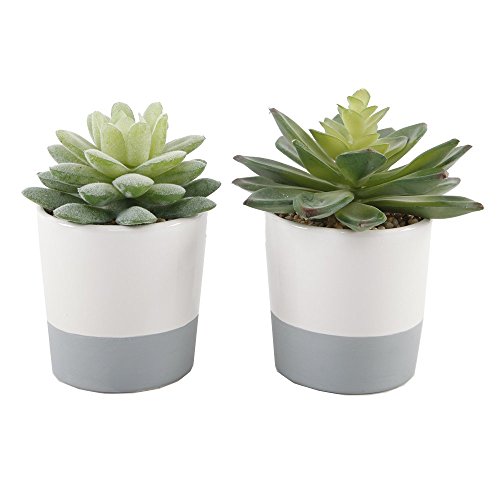 Flora Bunda Artificial Plants Set of 2 Artificial Succulent in Ceramic Color Block Pot Planter, for Desk, Office, Living Room, and Home Decoration, Gray/White