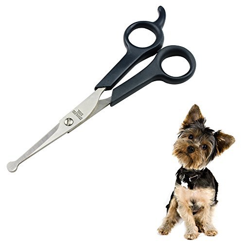 Professional Pet Grooming Scissors with Round Tip Stainless Steel Dog Eye Cutter for Dogs and Cats, Professional Grooming Tool, Size 6.70' x 2.6' x 0.43'