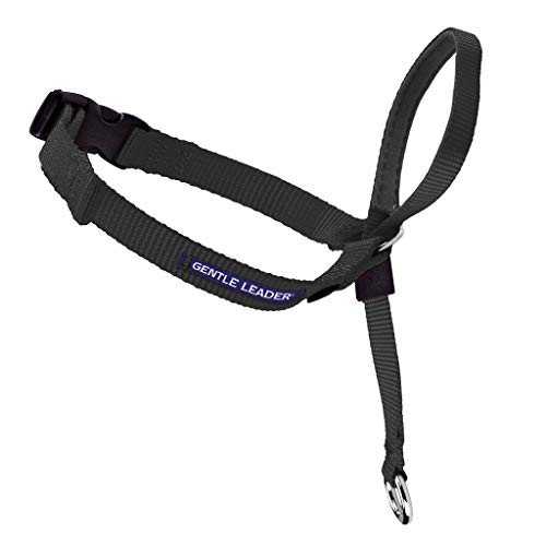PetSafe Gentle Leader Head Collar with Training DVD, MEDIUM 25-60 LBS., BLACK