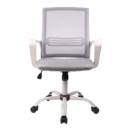 SMUGDESK Ergonomic Home Office Swivel Task Computer Desk Chair with Wheels and Arms, Gray