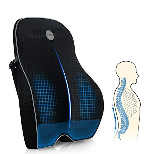 Winjoy Lumbar Support Pillow for Office Chair, Memory Foam Ergonomic Orthopedic Backrest Back Cushion Pillow for Wheelchair, Car, Computer and Desk Seat-Lower Back Pain Relief