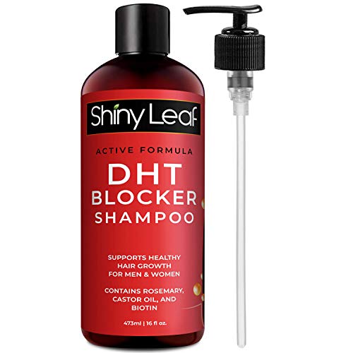 DHT Blocker Anti-Hair Loss Shampoo With Biotin, for Men & Women, Sulfate Free, Natural DHT Blocking Shampoo for Hair Growth, For Thinning Hair, Hair Fall and Hair Loss Prevention, Active Formula 16 Oz