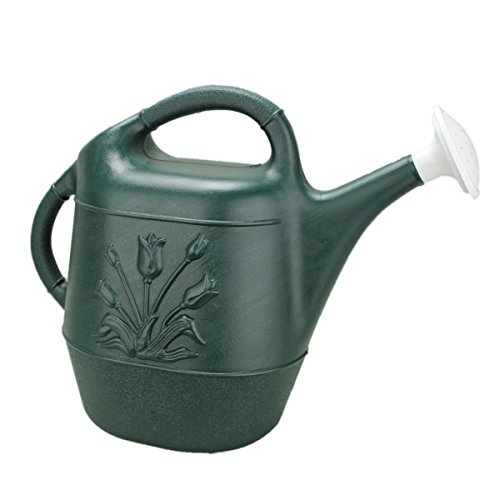 Cado 63065 2Gal Watering Can, Hunter Green, 2 gallon