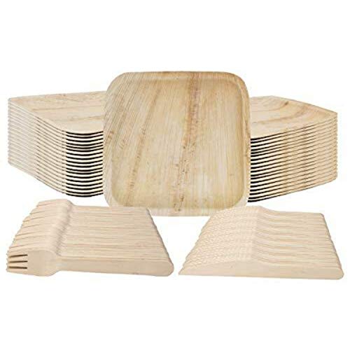 Palm Leaf Plates & Wooden Fork/Knife Dinnerware Set Disposable (75 pc) | Natural Eco Friendly 10in Square Plates & Cutlery | Compostable Biodegradable Sustainable Party Pack for Occasions + Events