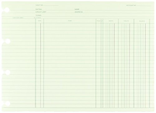 Wilson Jones Green End-Balance Ledger Forms, Both Sides Alike, 7.5 x 10.38 Inches, 100 Sheets per Pack (WGN1DA)