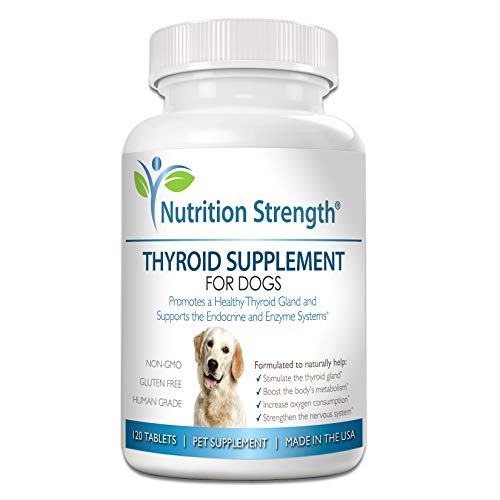 Nutrition Strength Thyroid Supplement for Dogs, Support for Hypothyroidism in Dogs with Organic Bladderwrack, Promotes Normal Function of Endocrine and Enzyme Systems, 120 Chewable Tablets