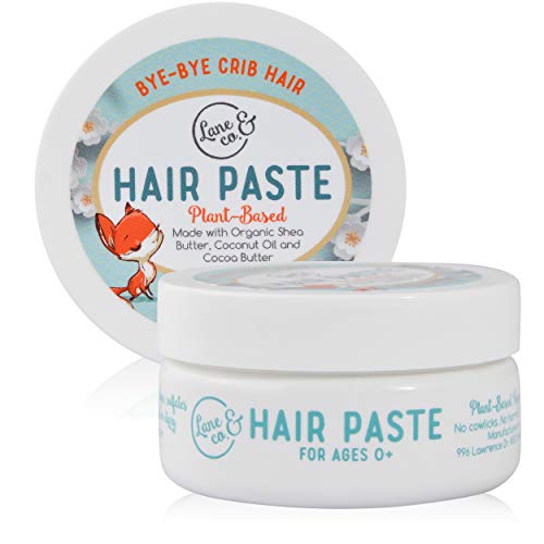 LANE & CO. Hair Paste - Plant-Based Styling Gel for Babies, Toddlers, Kids - Natural, Organic Formula with Shea & Cocoa Butter, Coconut Oil - Safe & Non-Sticky - Tame Bed Head & Flyaway Hair - Made In USA - 2oz/56g