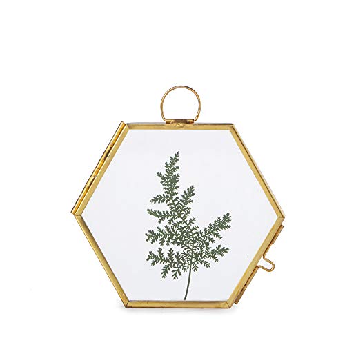 NCYP Small Wall Hanging Brass Hexagon Glass Artwork Certificate Photo Picture Display Frame Geometric Ornament Plant Specimen Clip Modern Vertical Decor Card Holder 3.5 inchs, Glass Frame only