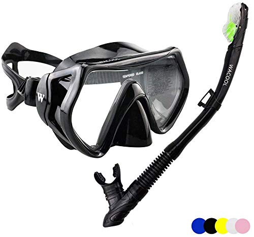 WACOOL Snorkeling Package Set for Adults, Anti-Fog Coated Glass Diving Mask, Snorkel with Silicon Mouth Piece,Purge Valve and Anti-Splash Guard.(Black)