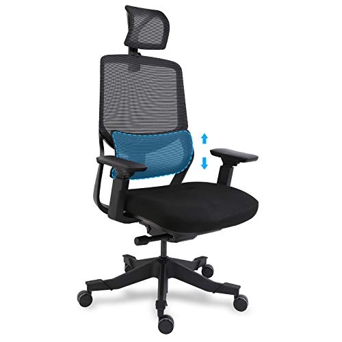 FlexiSpot Ergonomic Office Chair Mesh Chair 3D Lumbar Support, Desk Chair Headrest 4D Armrest Height Adjustable Seat Executive Swivel Chair (Black)