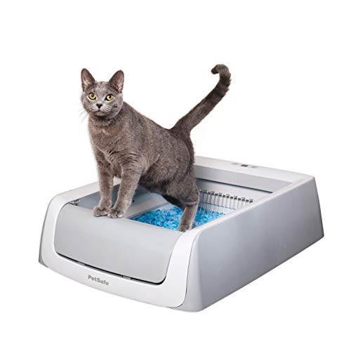 PetSafe ScoopFree Automatic Self-Cleaning Cat Litter Box – Includes Disposable Trays with Crystal Litter – 2ND Generation, Grey, One Size Fits All (PAL00-16805)