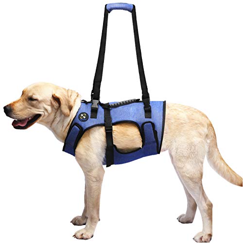COODEO Dog Lift Harness, Support & Recovery Sling, Pet Rehabilitation Lifts Vest Adjustable Breathable Straps for Old, Disabled, Joint Injuries, Arthritis, Paralysis Dogs Walk (XXLarge)