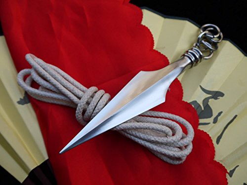 Kung Fu Rope Dart/Sheng biao/Chinese Wushu Taichi Equipment/Stainless Steel Material