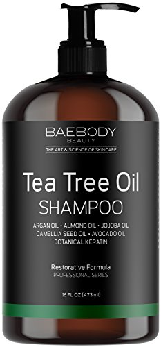 Baebody Tea Tree Oil Shampoo for Dandruff, Dry Hair & Itchy Scalp, 16 Ounces