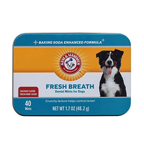 Arm & Hammer Dog Dental Care Fresh Breath Dental Mints for Dogs | Fresh Doggie Breath Without Brushing, 1.7 ounces (40 Pcs), Chicken Flavor