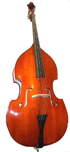 Rata Beginner Upright String Double Bass 4/4 Full Size for Students Teens Adults Orchestra Starter School