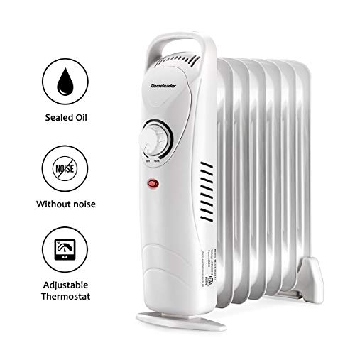 Homeleader Mini Oil Filled Heater, Adjustable Temperature Compact and Slim Portable Space Heater, Electric Personal Heater, Portable Overheating Protection Heater, for Home and Office, 700W, White