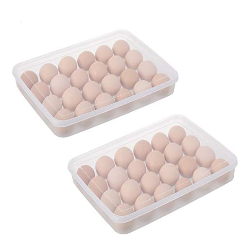 2PCS Plastic Refrigerator Egg Trays,2 x 24 Deviled Egg Tray Carrier with Lid,Clear Egg Holder Storage Container