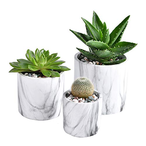 Funfolife Marble Plants Pots, 3 Packs Flower Pots for Live Plants Indoor, 3.2/4/5 Inches Succulent/Herb Garden Round Planters Pot