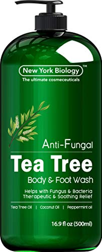 Antifungal Tea Tree Body Wash - HUGE 16 OZ - Helps Nail Fungus, Athletes Foot, Ringworms, Jock Itch, Acne, Eczema & Body Odor, Soothes Itching & Promotes Healthy Skin and Feet, Packaging May Vary