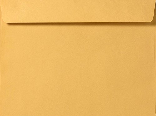 10 x 15 Booklet Envelopes - 28lb. Brown Kraft (50 Qty.) | Perfect for Catalogs, Annual Reports, Brochures, Magazines, Invitations | 28lb. Text Paper | 11173-50