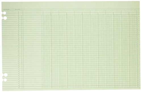 Wilson Jones Green Columnar Ruled Ledger Paper, 12 Columns and 36 Lines per Page, 11 x 17 Inches, 100 Sheets per Pack (WG50-12A)