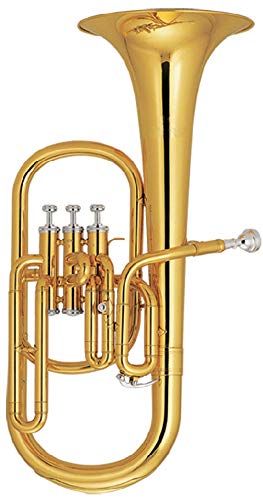 KYT Music Alto Horn Eb Key Gold Lacquer 3 Stainless Steel Pistons with ABS Case