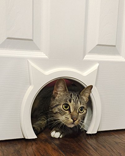 The Kitty Pass Interior Cat Door Hidden Litter Box Pet Door for Cats up to 21 lbs Pet Box