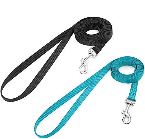 rabbitgoo Small Pet Leash, Cat Walking Long Nylon Dog Leashes, Easy Control Lightweight Durable Kitten Puppy Leash with 360 Degree Swivel Clip, Training Leashes for Small Medium Cat, 59 inches, 2 Pack