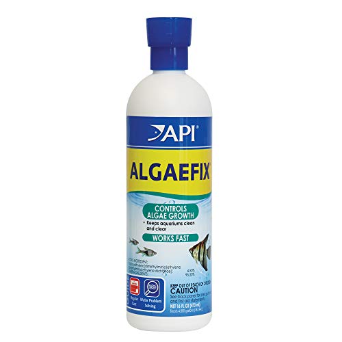 API ALGAEFIX Algae Control 16-Ounce Bottle