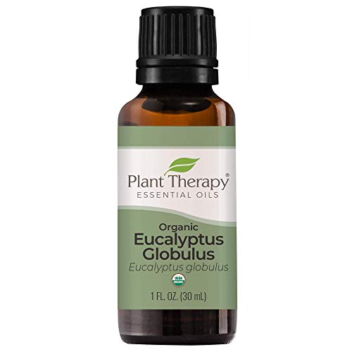 Plant Therapy Organic Eucalyptus Globulus Essential Oil 100% Pure, USDA Certified Organic, Undiluted, Natural Aromatherapy, Therapeutic Grade 30 mL (1 oz)