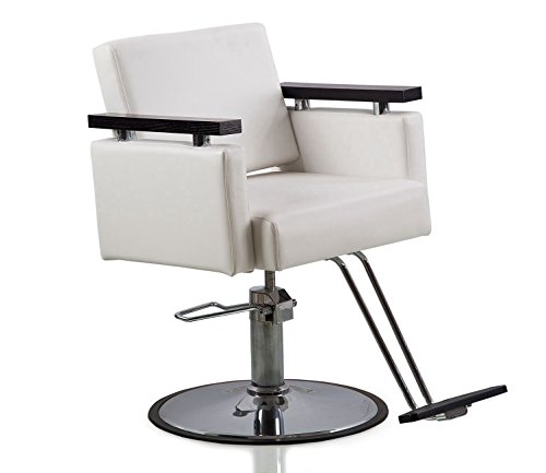 Danyel Beauty Professonal Hydraulic Barber Chair Salon Beauty Spa Hair Styling Chair (Round Base, White Color)