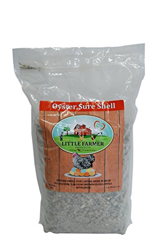 LITTLE FARMER PRODUCTS Oyster Sure Shell | Natural Oyster Shell for Chicken Poultry Calcium Supplement | 5 lbs