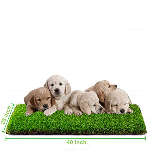 MTBRO Artificial Grass for Dogs and Small Pets, Premium Puppy Potty Training Grass, Outdoor Grass Mat and Replacement Grass for Dog Pee Pad, Easy Clean with Drain Holes, 28 Inch X 40 Inch