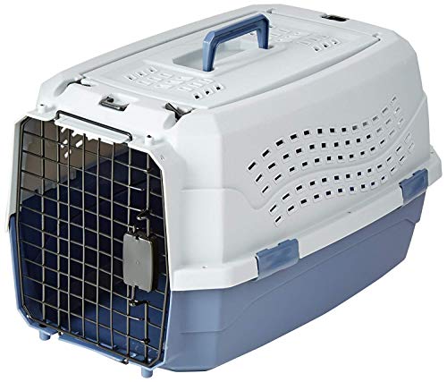 AmazonBasics Two-Door Top-Load Hard-Sided Pet Travel Carrier, 23-Inch