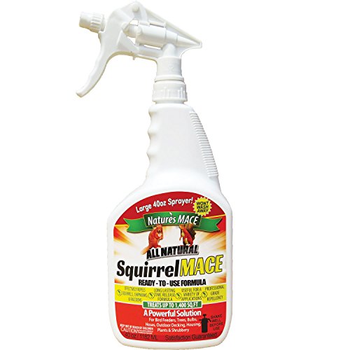 Nature's Mace Squirrel Repellent 40oz Spray/Covers 1,400 Sq Ft/Keep Squirrels & Chipmunks from Destroying Trees, planters, flowerbeds, and Bird feeders/Safe to use Around Children & Plants