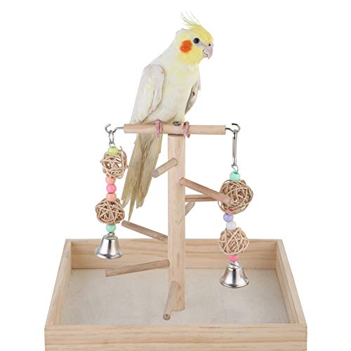 Parrot Playstand Bird Play Stand，Cockatiel Birdcage Stands Wood Perch，Conures Playground Gym Playpen with Ladder Swing Rope Stands Bell Chewing Toys Exercise Play，Best for Cockatoo Macaws African Grey