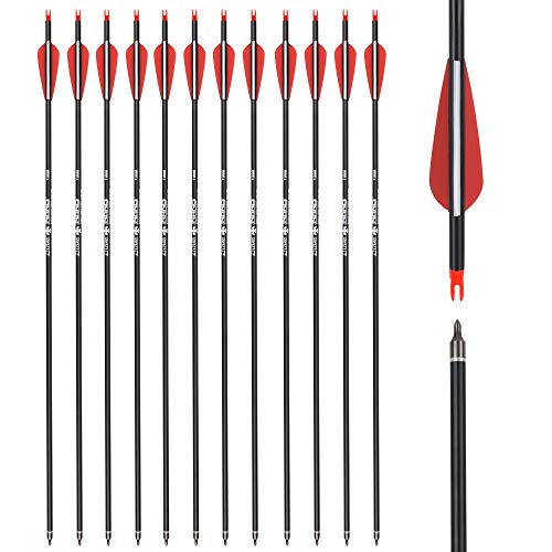 28 inch Carbon Arrow Hunting Arrows with 100 Grain Removable Tips for Archery Compound & Recurve & Traditional Bow Practice Shooting (Pack of 12)