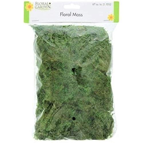 Natural Green Floral Moss 67 cu. Inch